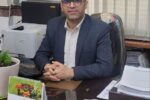 راهکارهای هوشمندسازی شبکه برق استان مازندران